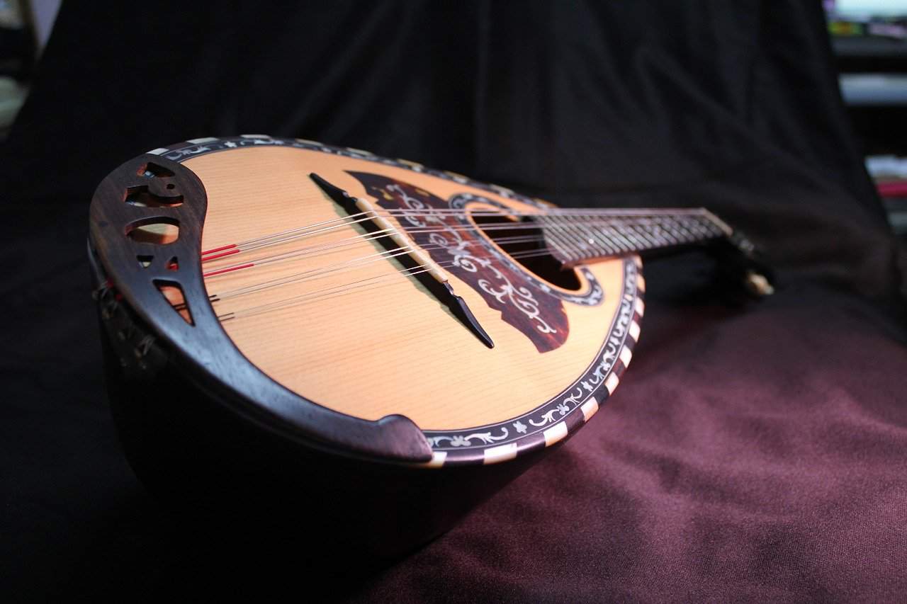 mandolin guitar