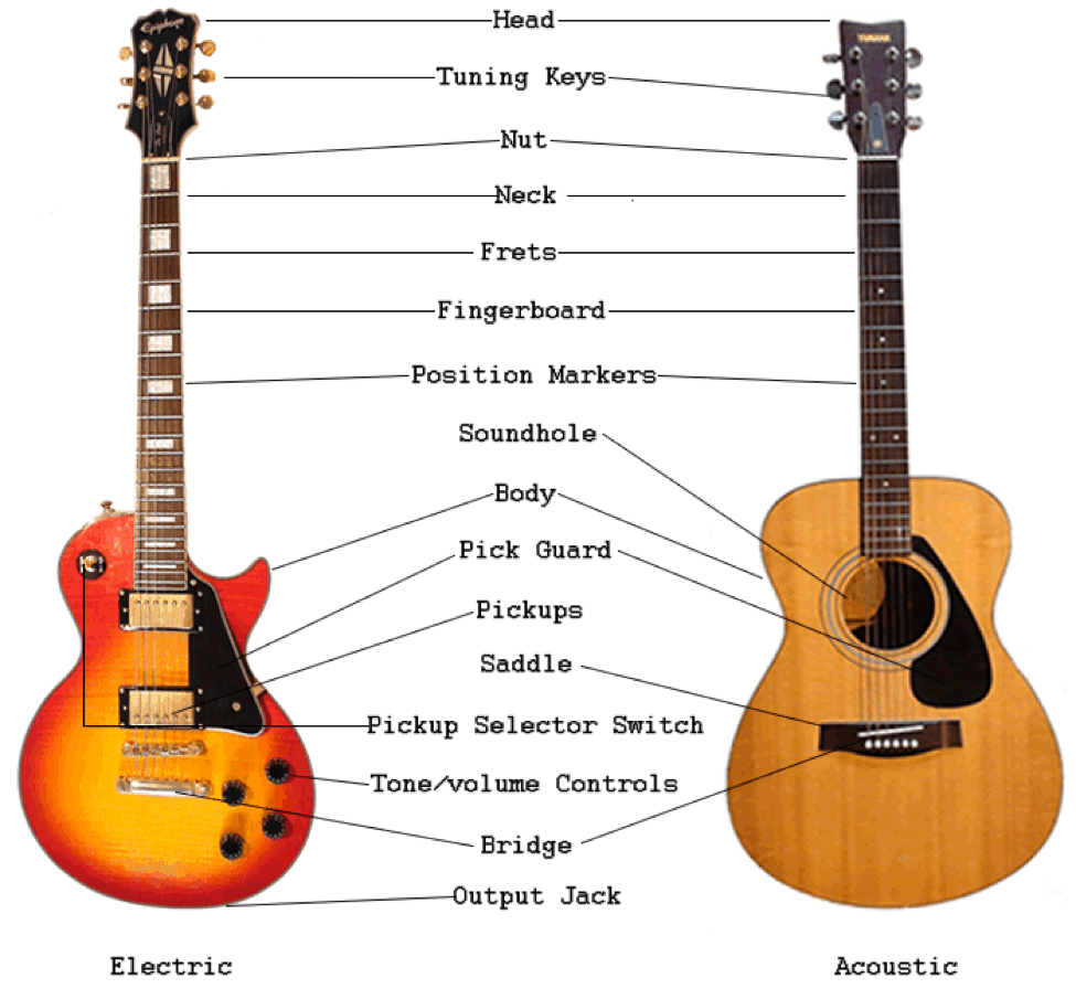 Guitar neck deals bridge