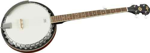 Best affordable deals banjo