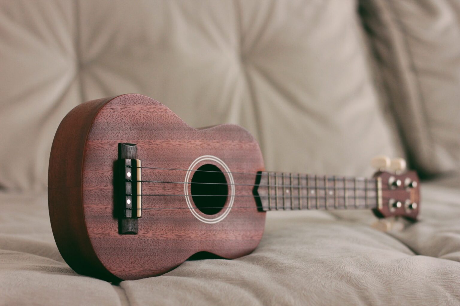 9 Best Concert Ukuleles [Guide] Guitar Space