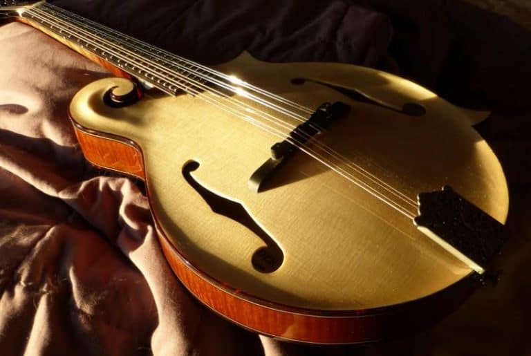 Mandolin vs Guitar Which Instrument is Better to Play? Guitar Space