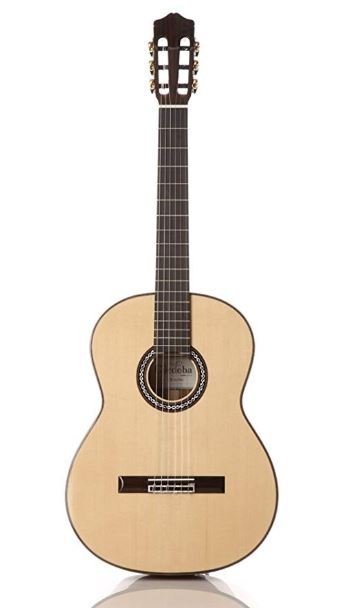 best parlor guitar under 500