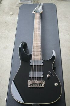 Ibanez Iron Label RGIT20FE: The Ultimate Review - Guitar Space