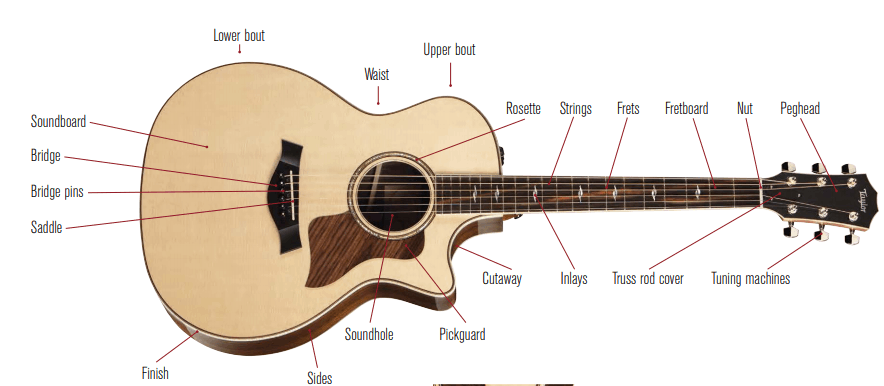 Parts of Acoustic Guitar