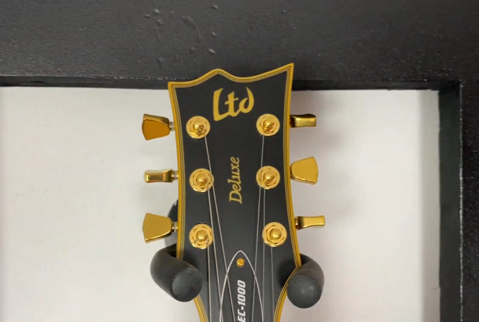 Esp Ltd Ec1000 Review Should This Be Your Next Electric Guitar