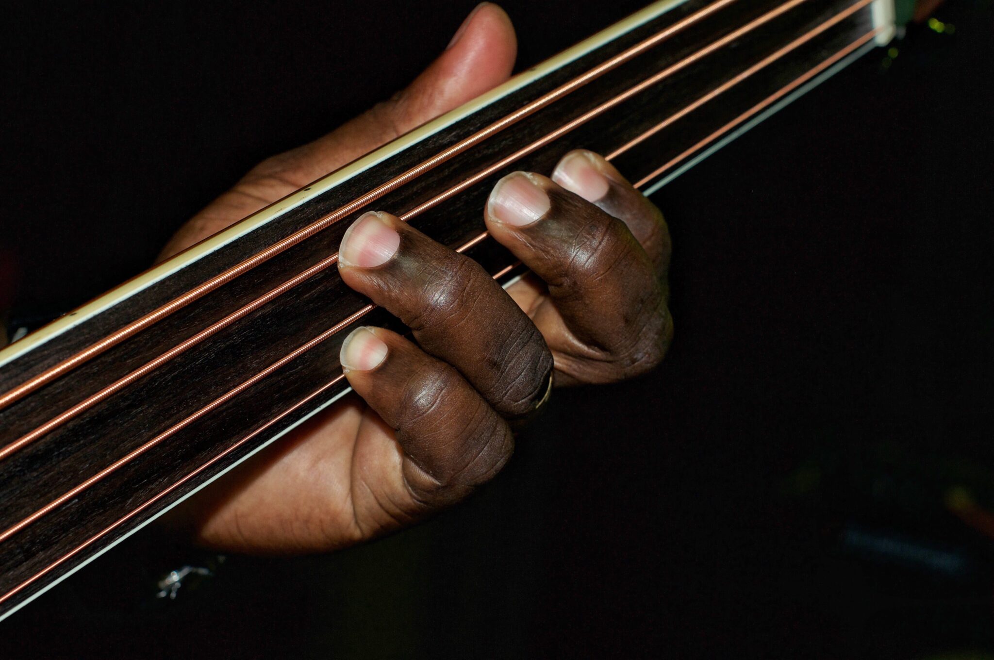 The Best Fretless Bass Guitars You Will Love Guitar Space
