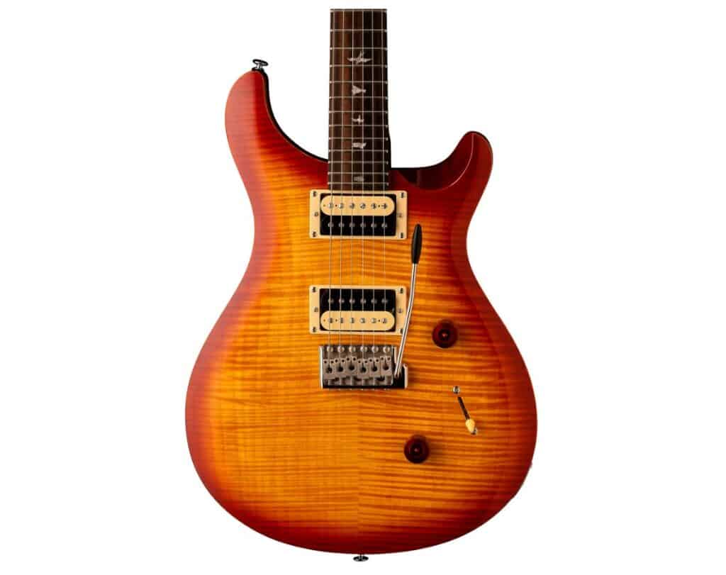 PRS SE Custom