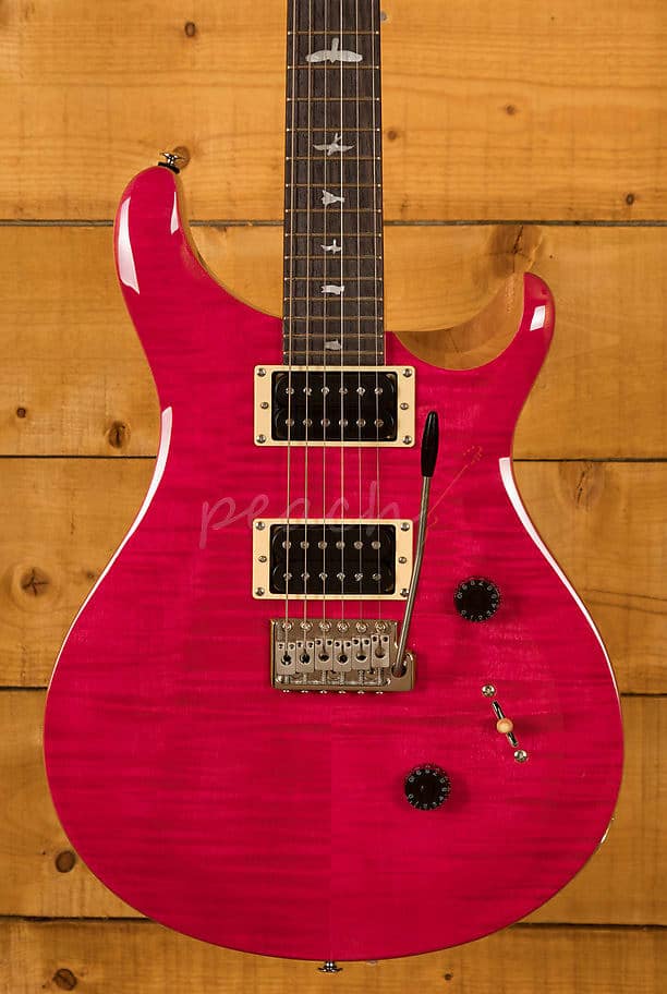 PRS SE Floyd Custom 24 Electric Guitar | Reverb