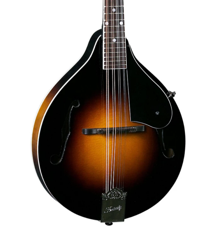 The Best Mandolins for Your Money Guitar Space