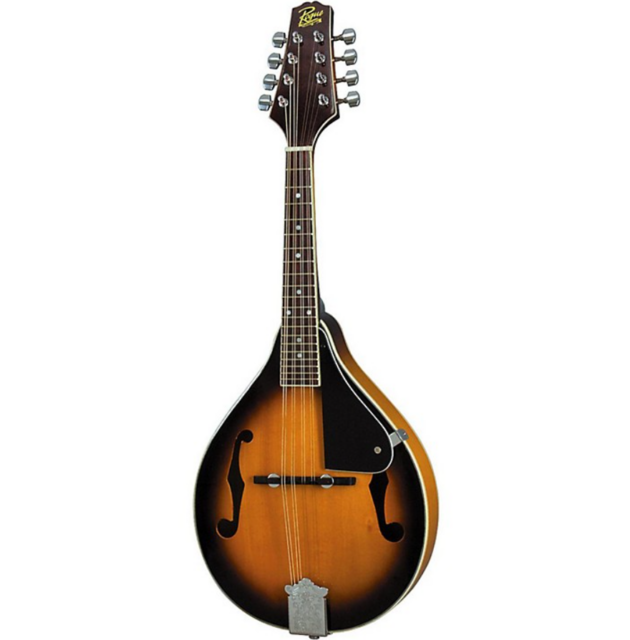 The Best Mandolins for Your Money Guitar Space