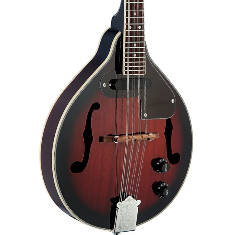 The Best Mandolins for Your Money Guitar Space