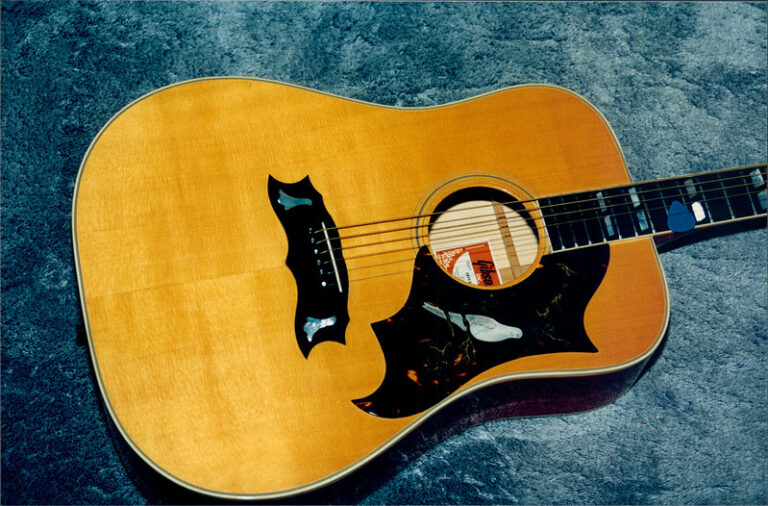 Gibson Dove vs Hummingbird Which Model is the Best For