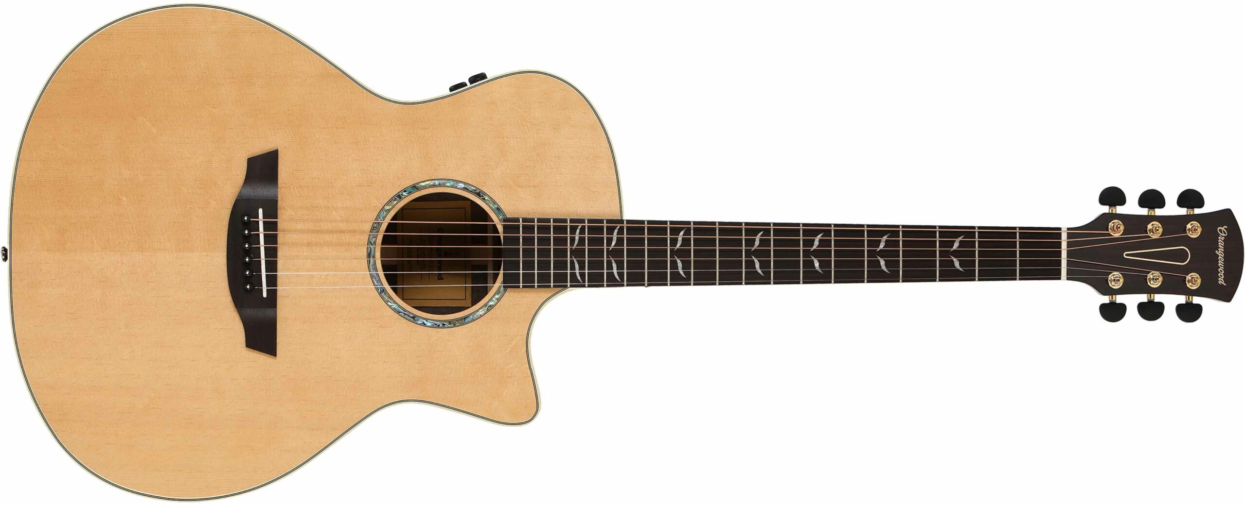 D'addario vs Ernie Ball Strings Comparison Which is The Best Guitar